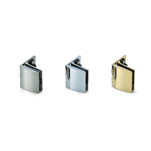 Inset Glass Door Hinge